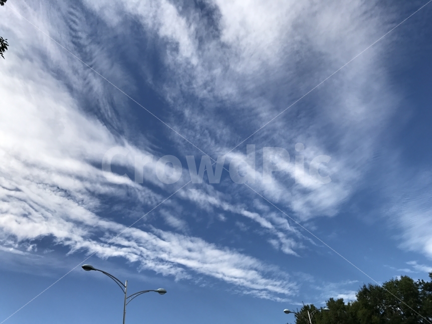하늘,가로등,구름,파란하늘,풍경,가을하늘,sky,bluesky,cloud,fall,가을,시원함,아름다움,가을느낌,자유,자연,풍경,nature,landscape,outdoors,옥외