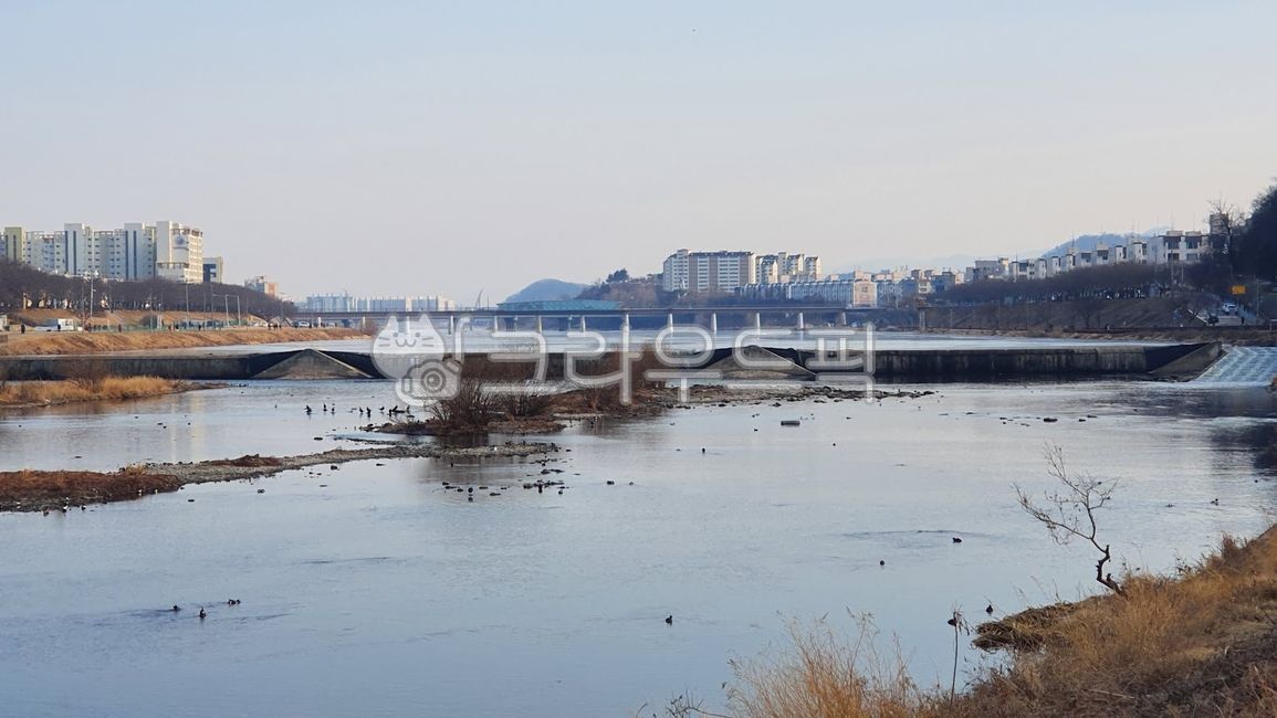 동구아양기찻길,동촌둘레길,아양기찻길,기찻길,기차길,대구선,금호강,결빙,대구,동구,동촌,아양,철교,철길,철로,겨울,railroad,bridge,river