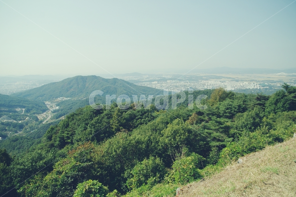 전망,전망대,산,mountain,숲,forest,마을,지평선,등산,나무,tree,climb,자연,풍경,nature,landscape,outdoors,옥외,hill,언덕