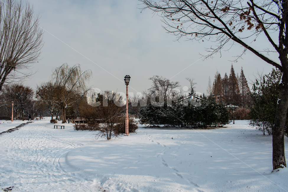 겨울풍경,눈길,백설,흰눈,눈밭,겨울,계절,winter,season,자연,풍경,nature,landscape