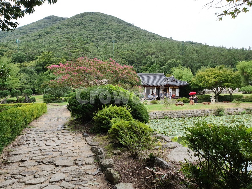 자연,판석,운림산방,진도,정원,자연,풍경,nature,landscape