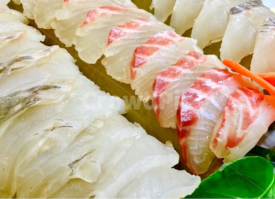 음식,요리,food,회,생선,모듬회,모둠회,광어,우럭,도미,음식배경,배경,신선한,날것,생선살,음식,식재료,요리,food,cook,meal,dishes,food reserves,수산물,해산물,fishery products,seafood,일식,일본음식,일본요리,Japanese food,Japanese dishes,Japanese meal,Japanese cook