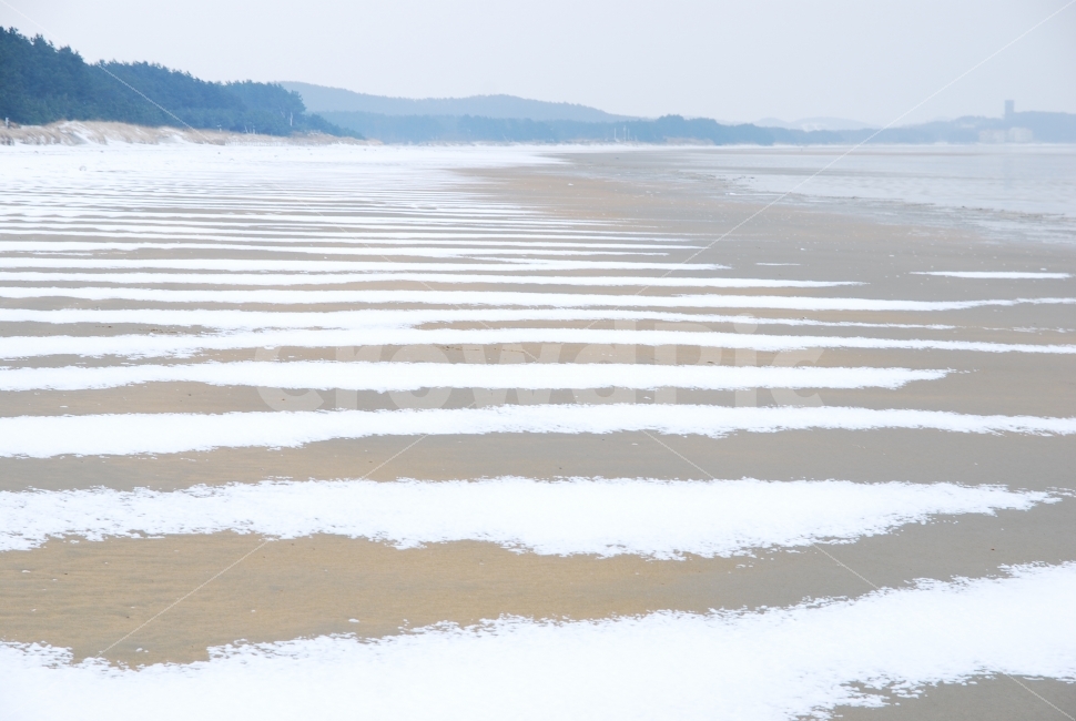 겨울바다,설경,눈내린날,겨울,백사장,WINTER,SNS,EBOOK,SNOW,ICE,LANDSCAPE,SEASIDE,해안,바닷가,서해안,낭만,인적없는,힐링,콘텐츠,마케팅,사보,카다로그,잡지,광고,서적,출판,편집,모바일,시안,디자인,디자이너,감성,필,느낌,분위기,백그라운드,BACKGROUND,FEELING,EMOTION,SEA,겨울풍경,풍경,적막한,순수,모래밭,해안가,12월,1월,자연,먼산,숲,바다,sea,해변,겨울,계절,winter,season,자연,풍경,nature,landscape,한국자연풍경,한국자연경관,korea nature landscape,해변,바다,beach,sea,outdoors,옥외