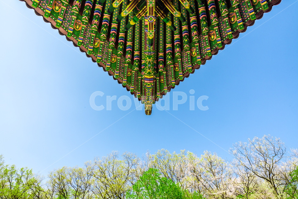 처마,문양,무늬,단청,패턴,한국전통,한국문화,korean traditional,korean culture,건축물,건물외관,exterior,building,structure,architecture,construction