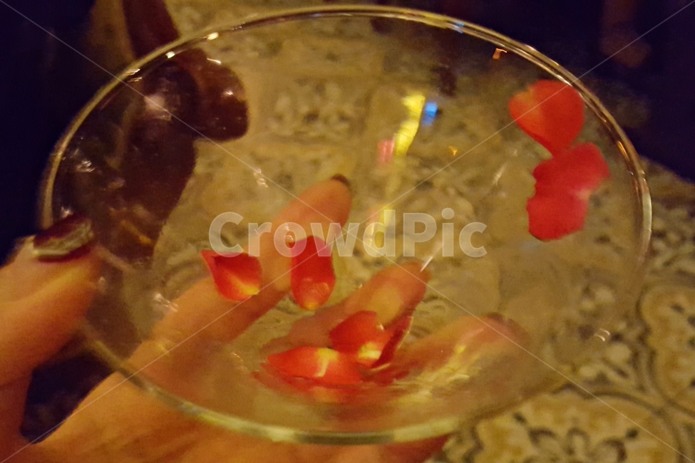 마티니,장미,장미빛,분위기,와인바,칵테일,술,주류,alcohol