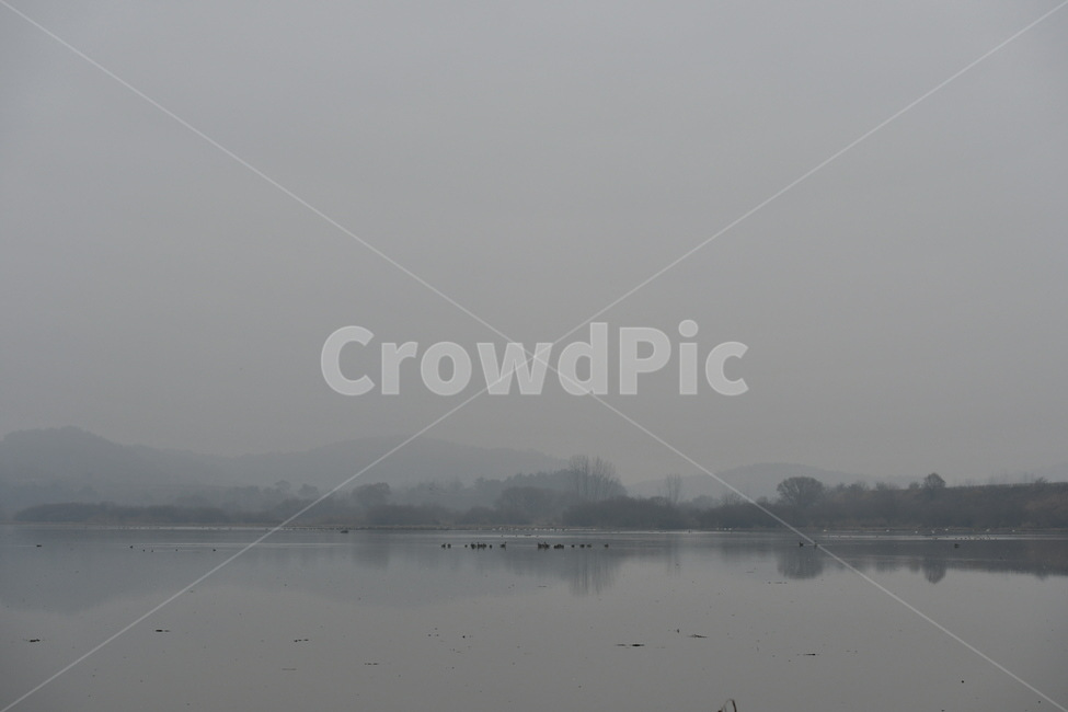 안개,수채화,흑백,오리,가창오리,자연,신비,몽환,fog,weather,nature,감성,감성사진