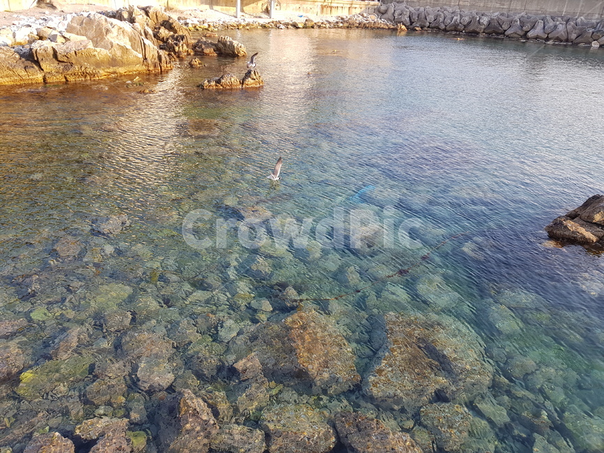 Gangwondo,rock,Jangho Port,ocean,sight,clear water