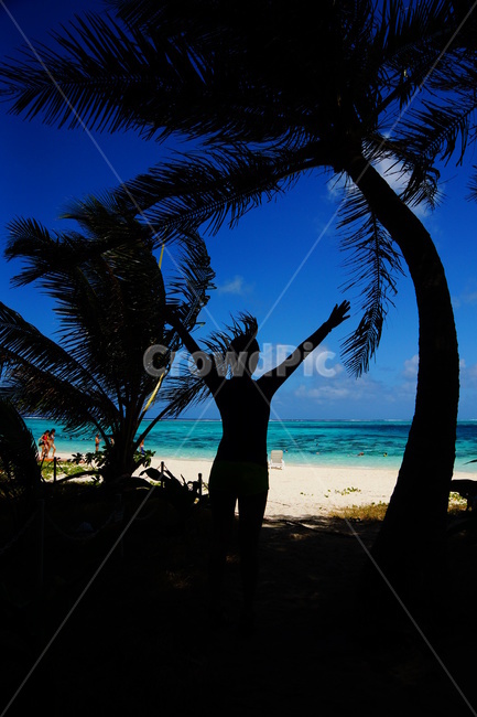 summer,여름,tropical,열대,beach,여행,자유,여행,휴가,traveling,vacation,trip