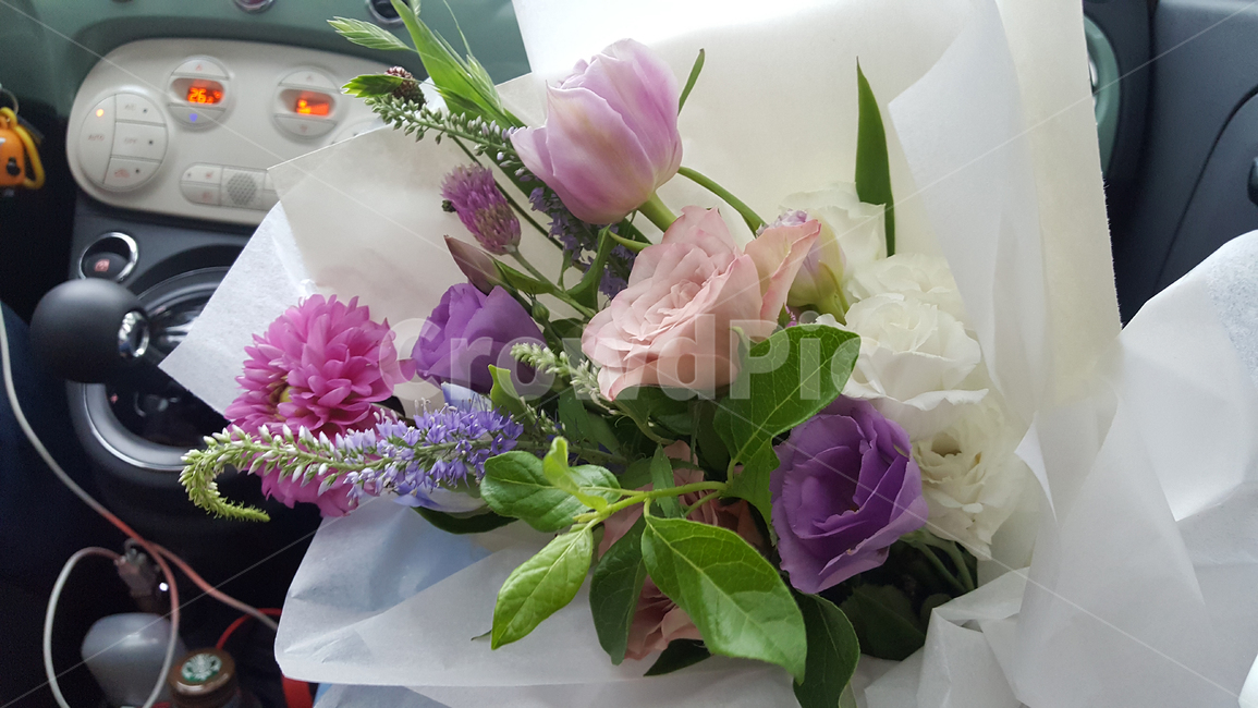 꽃,flower,plant,spring,부케
