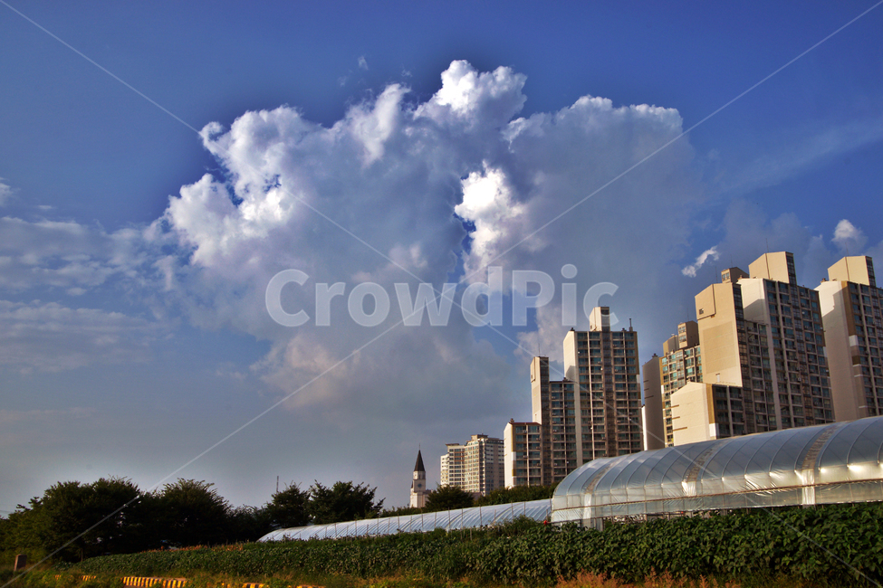 구름,흰구름,푸른하늘,하늘,아파트,비닐하우스,도시,풍경,city,landscape,한국도시풍경,한국도시경관,korea cityscape,nature,자연,weather,날씨,outdoors,옥외,sky,cumulus,적운,cloud