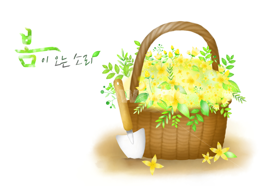 개나리,꽃,꽃바구니,삽,모종삽,감성,봄,배경,백그라운드,봄,계절,spring,season,그래픽,일러스트레이션,graphic,illustration,basket,바구니
