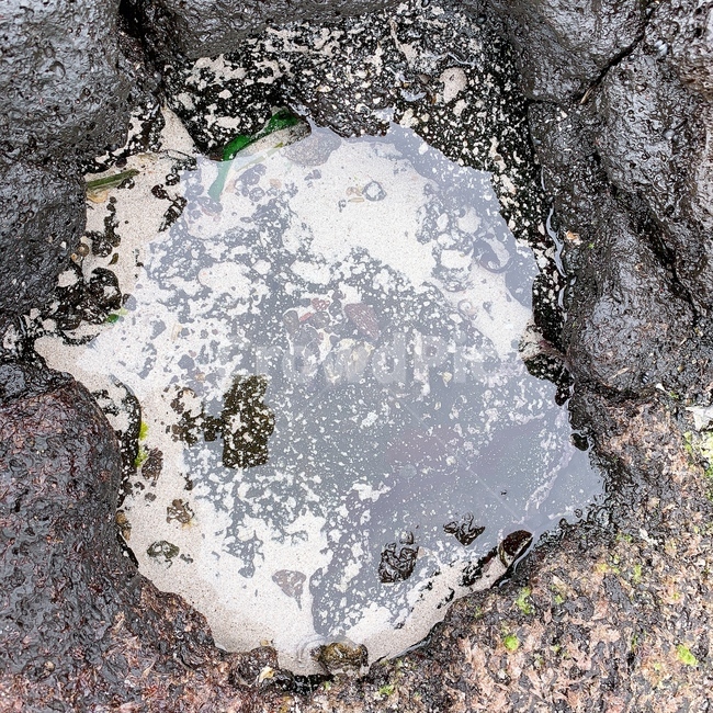 바다,돌,물,바닷물,이쁜,자연,풍경,nature,landscape,rock,록