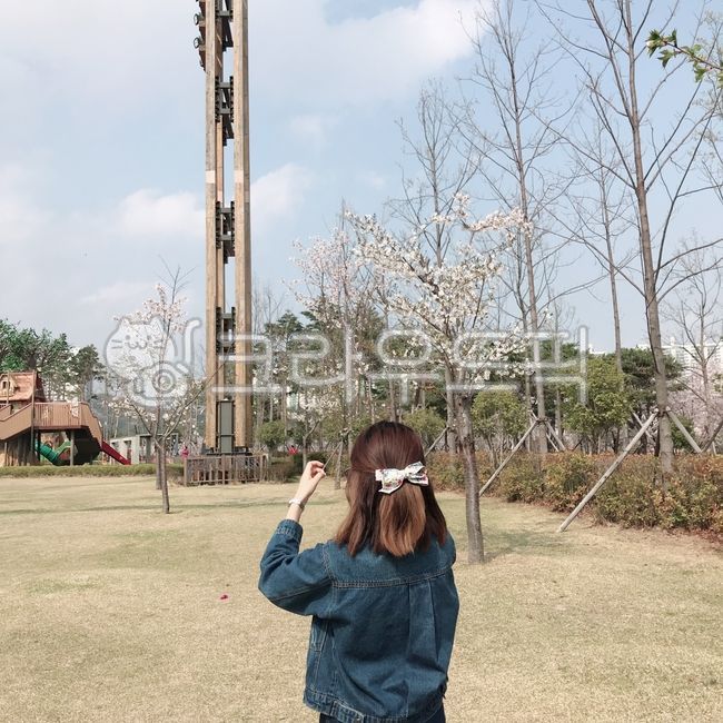 분위기있는,봄꽃,인물,뒷모습,여자,인간,벚꽃,꽃,공원,woman,spring,flower,봄,계절,사람,식물,봄날,자연,시민공원,person,human