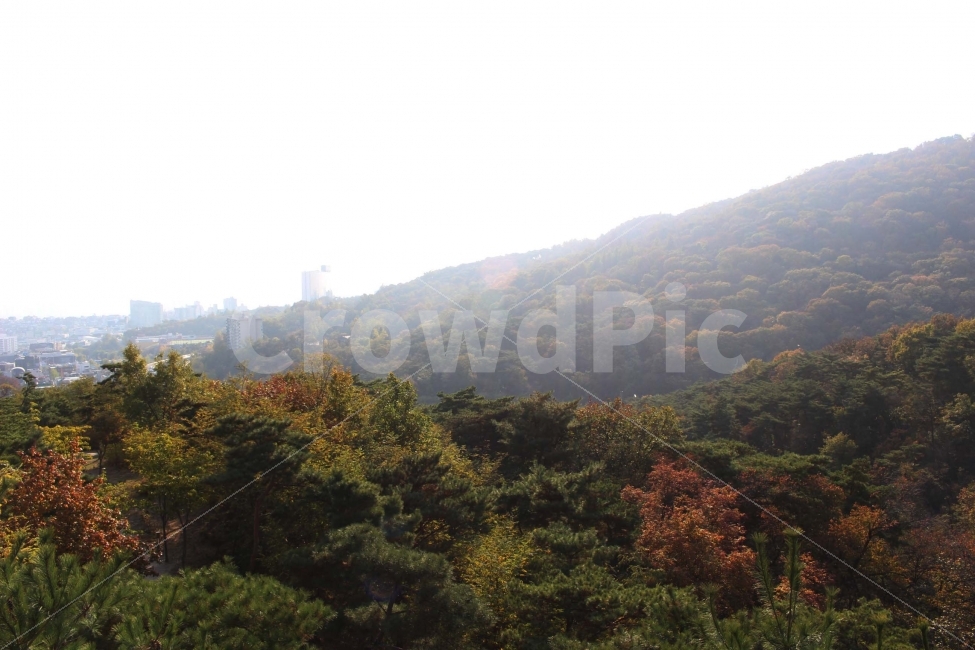산,단풍,풍경,자연,전경,알록달록,나무,식물,풀,하늘,가을,야외,나들이,산책,자연,풍경,nature,landscape,가을,계절,fall,autumn,season,outdoors,옥외
