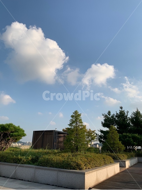 nature,자연,outdoors,옥외,weather,날씨,옥상,하늘,푸른하늘,구름,sky