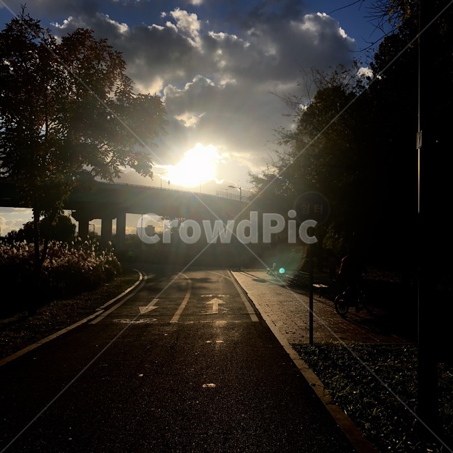 한강,뚝섬유원지,서울,한강공원,풍경,자연,풍경,nature,landscape,light,빛,flare,플레어,asphalt,아스팔트