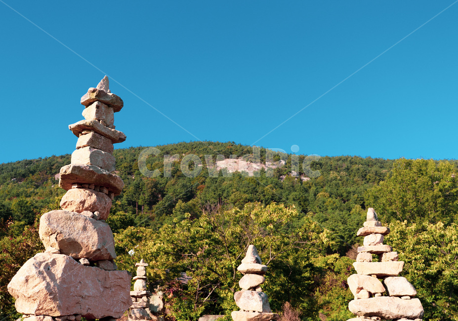 탑,tower,stonetower,돌탑,나무,tree,하늘,sky,architecture,건축물