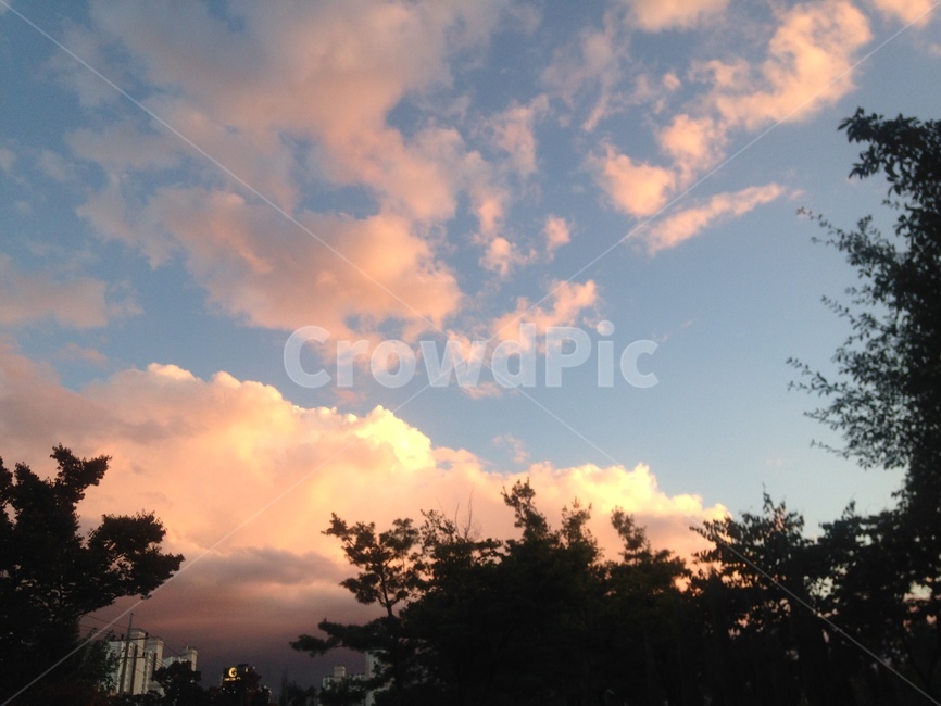 하늘,가을,가을하늘,저녁노을,노을,풍경,일상,자연,풍경,nature,landscape,outdoors,옥외,sky