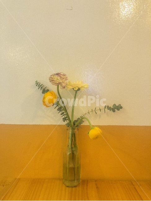 꽃,화병,꽃병,노란색,노란꽃
