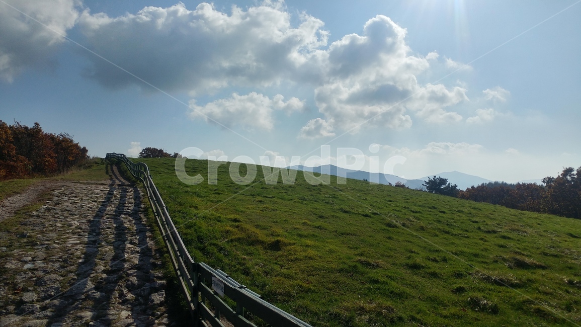 자연,nature,대관령,양떼목장,하늘,자연,풍경,nature,landscape