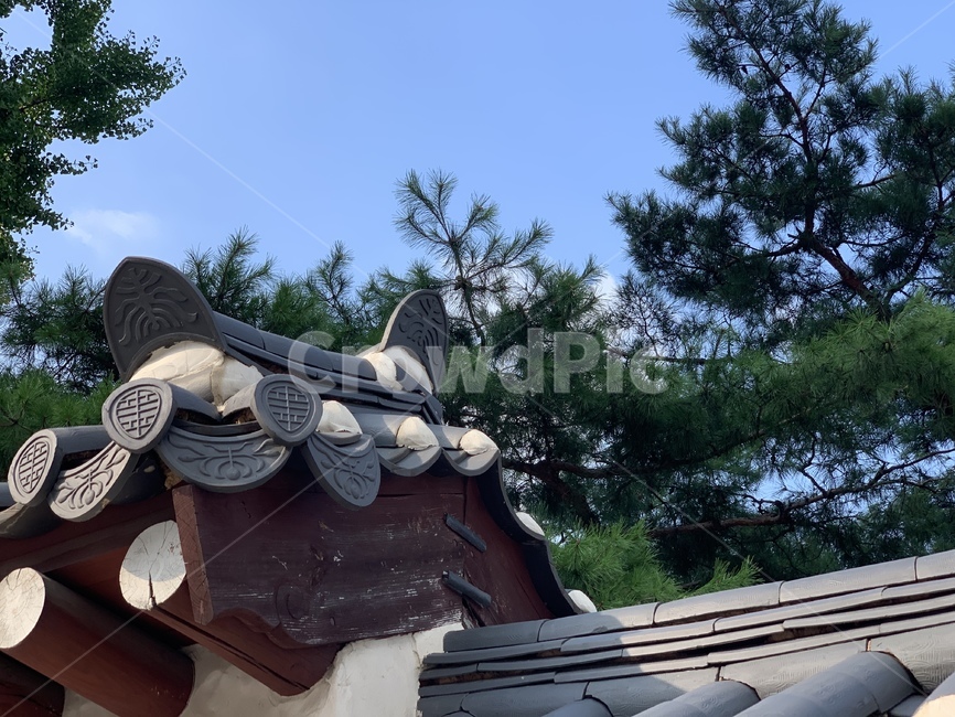 지붕,기와,소나무,하늘,tree,roof,sky,한국전통,한국문화,korean traditional,korean culture,건축물,건물외관,exterior,building,structure,architecture,construction