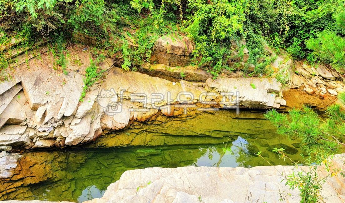 계곡,물,여름,계곡식당,물놀이,깊은물