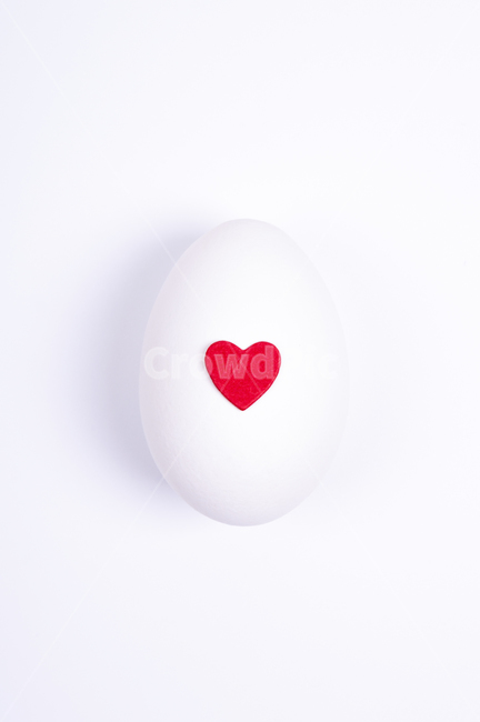 달걀,계란,음식,실내,정물,흰색,egg,음식,식재료,요리,food,cook,meal,dishes,food reserves,연출,컨셉,콘셉,direction,concept,누끼,remove background