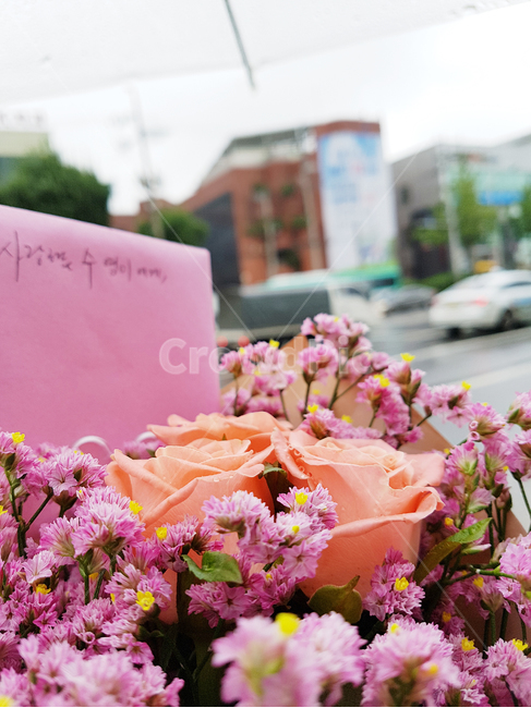 꽃,꽃다발,선물,고백,편지,거리,빗길,우산,사랑,연인,부부,flower,gift,꽃,flower,기념일,축하,anniversary,congratulation,celebrate,celebration