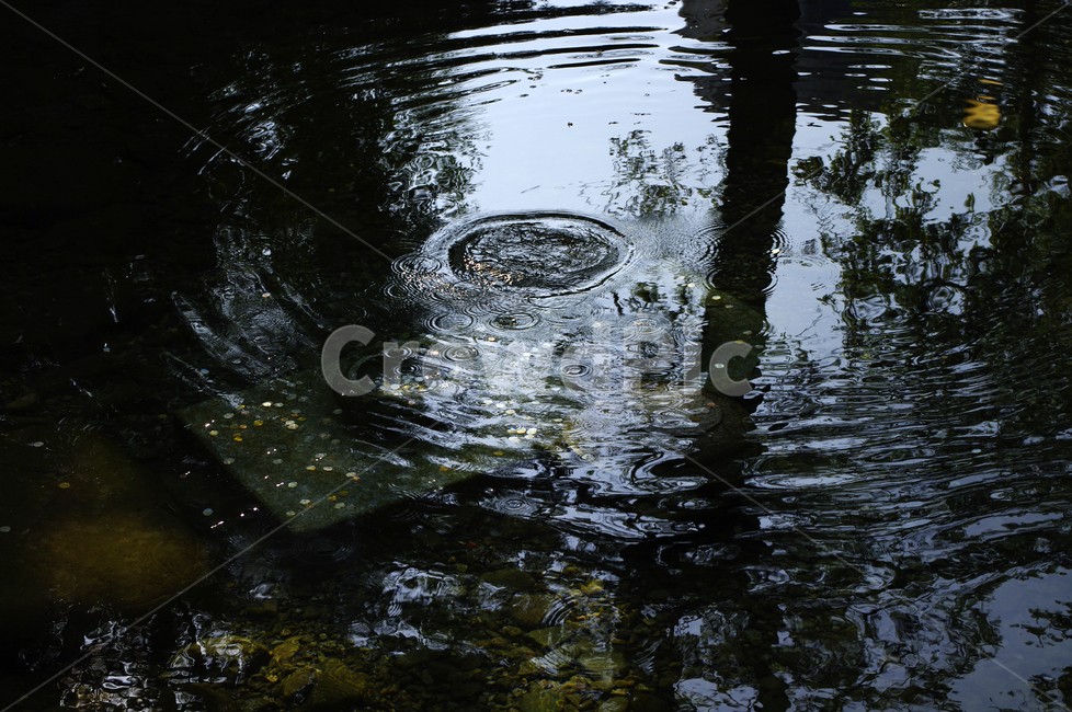 연못,물,동전,water,outdoors,옥외
