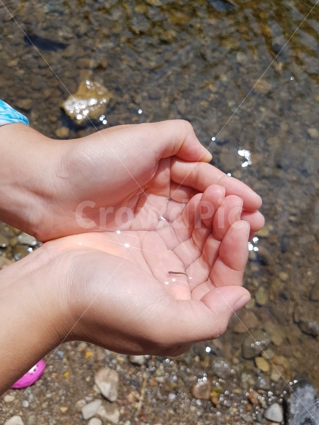 계곡,물놀이,여름,냇가,물고기,시원함,깨끗함,여름,계절,summer,season,사람,인물,인간,human,person,finger,손가락