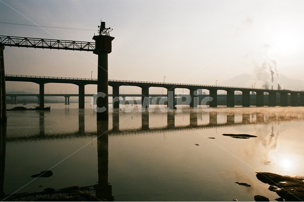강,다리,아침,공장,철새,river,morning,migratorybird,산업,industry,industrial,건축물,건물외관,exterior,building,structure,architecture,construction