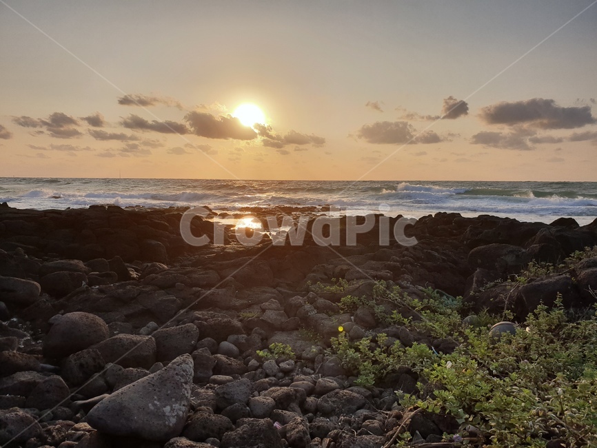 light,빛,노을,제주도,바다,자연,자연,풍경,nature,landscape,제주도,jeju,jeju island,rubble,파편,flare,플레어