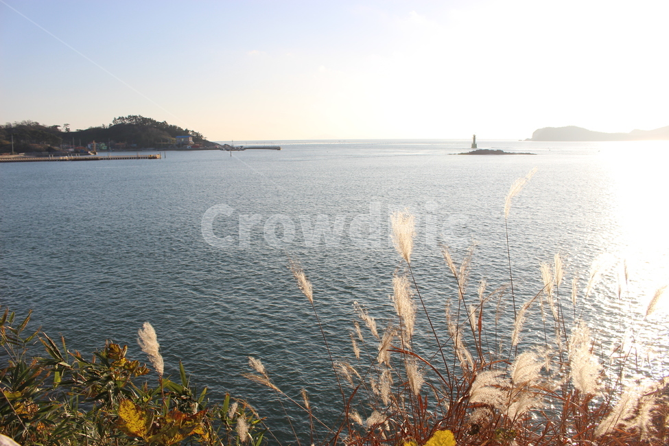 풀,갈대,바다,하늘,섬,빛,군산선유도,자연,풍경,nature,landscape