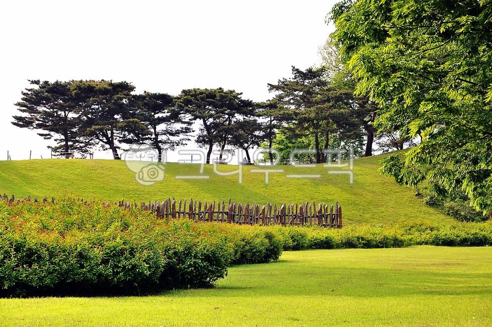 서울,송파구,올림픽,올림픽기념공원,몽촌토성,olympicpark,방이동,자연,field,nature,옥외,outdoors
