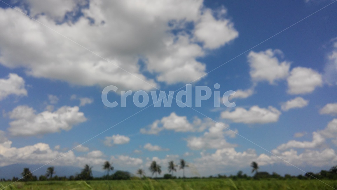 하늘,들판,구름,나무,sky,tree,cloud,field,자연,nature,자연,풍경,nature,landscape