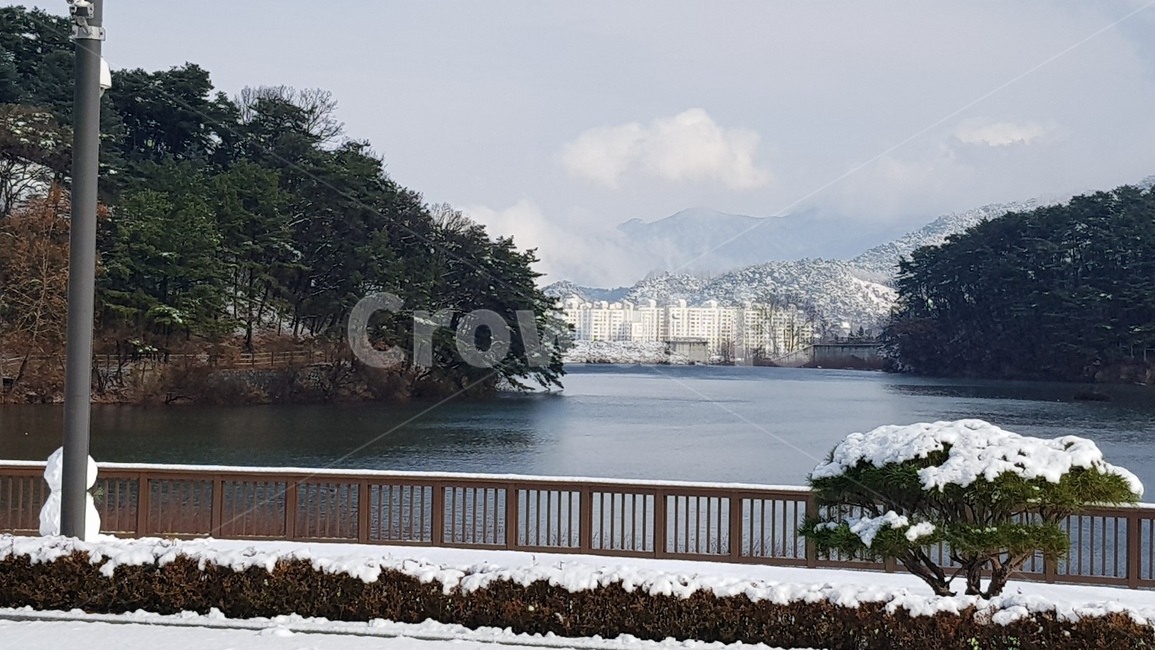 겨울,호수,산책로,설산,자연,겨울,계절,winter,season