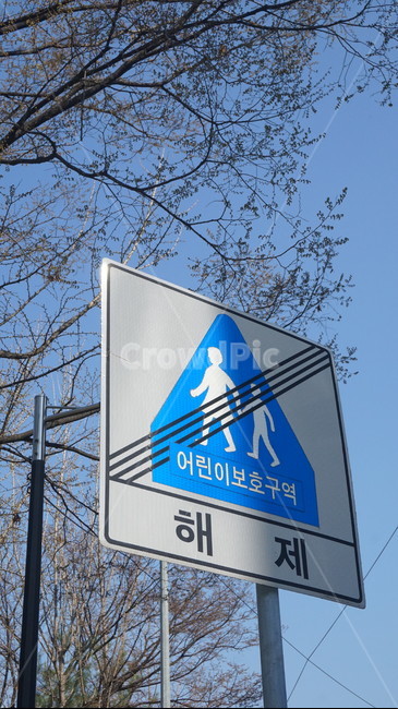 표지판,어린이,학교앞,어린이보호구역,sign,streetsign,길거리표지판