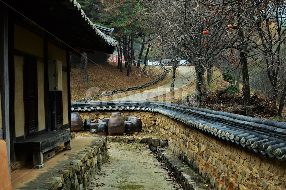 전통가옥,한옥,장독대,뒤꼍,담장,한국정서,한국전통,전통문화,한국전통,한국문화,korean traditional,korean culture,건축물,건물외관,exterior,building,structure,architecture,construction