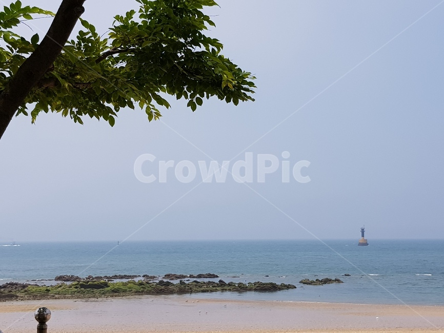 해변,바다,여유,beach,여름,휴식
