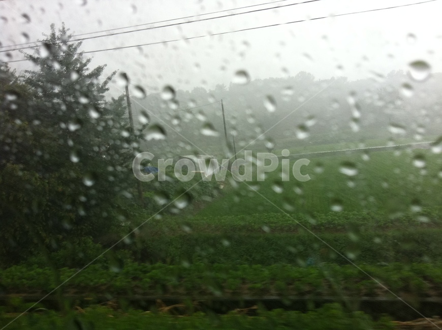 비,rain,창,창문,window,비,비오는날,rain,rainy