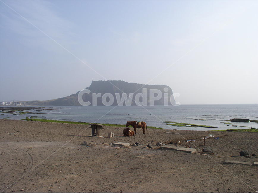 제주도풍경,제주도해안풍경,제주도해변,성산일출봉,koreajejuislandlandscape,koreainternationalroad,koreainternationalcapitalollehroad