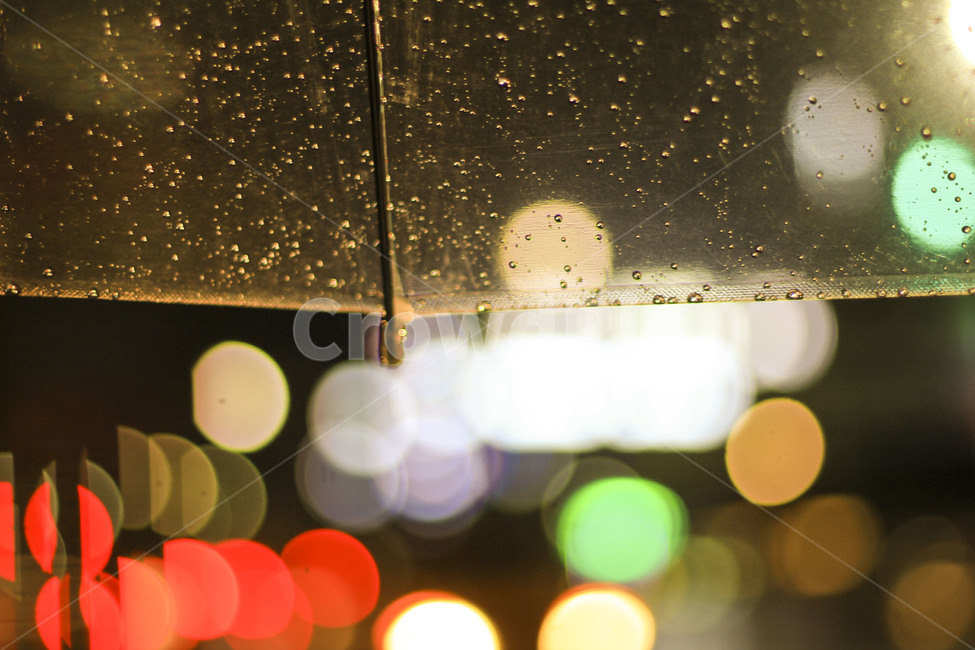 비,우산,보케,장마,umbrella,rain,빗방울,투명우산