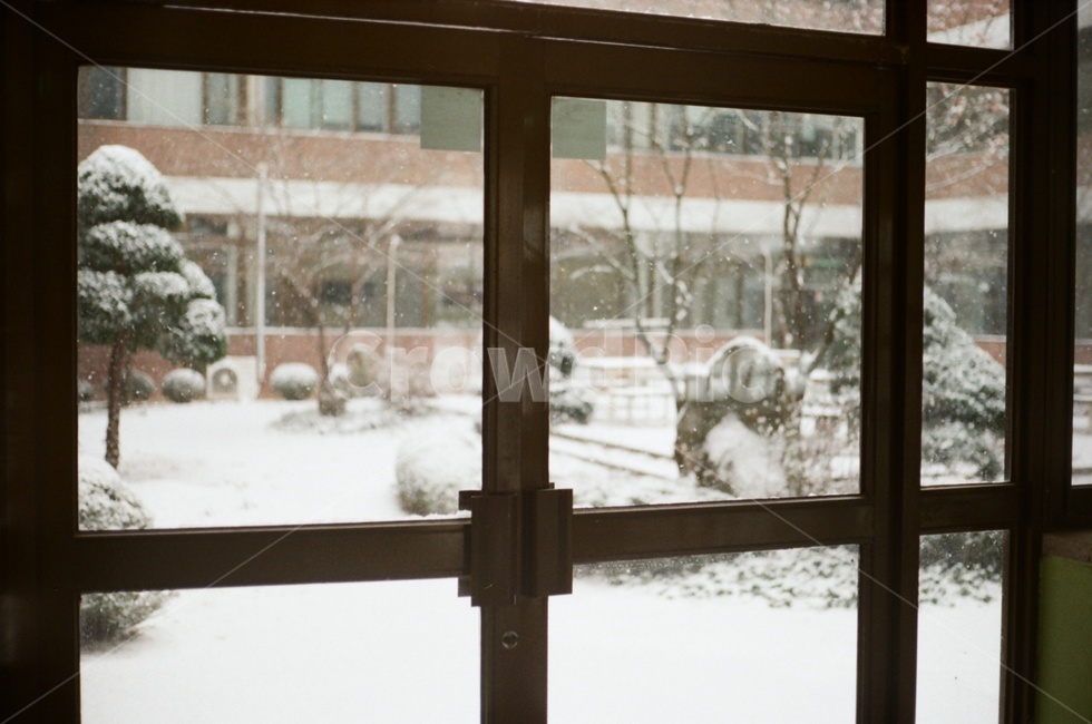 겨울,눈,눈꽃,문,필름,겨울,계절,winter,season