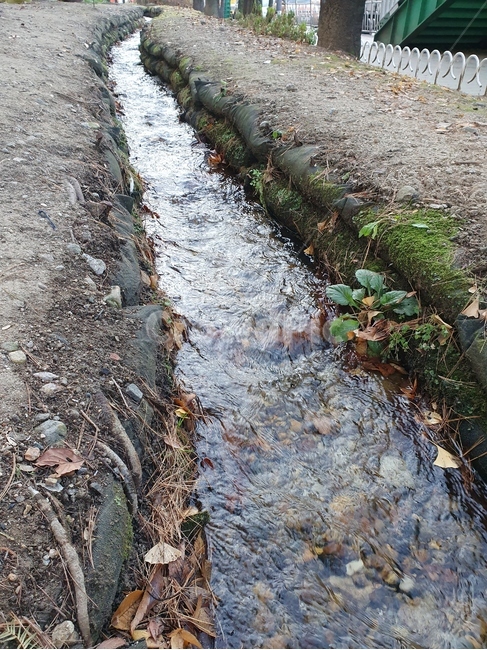 바닥,ground,waterstream,물줄기,잎,leaf,도로,treetrunk