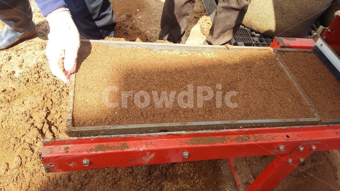모판,볍씨,벼농사,모판만들기,벼,산업,industry,industrial,농업,농사,agriculture,farming,farming industry,사물,물건,오브젝트,thing,object,matter