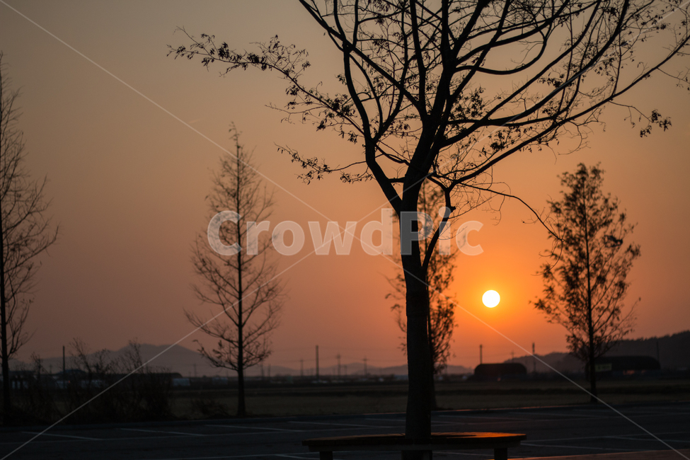 가을,풍경,노을,실루엣,나무,역광,자연,풍경,nature,landscape,식물,plants,나무,trees,wood,실루엣,그림자,silhouette,shadow,outdoors,옥외