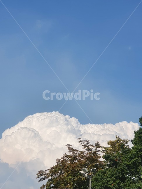 하늘,구름,가을,날씨,나무,sky,cloud,tree,fall,autumn