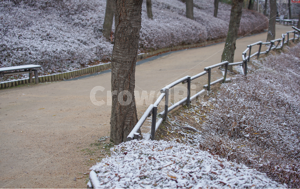 겨울,첫눈,눈,공원,계절,나무,겨울,계절,winter,season,자연,풍경,nature,landscape,handrail,난간,banister