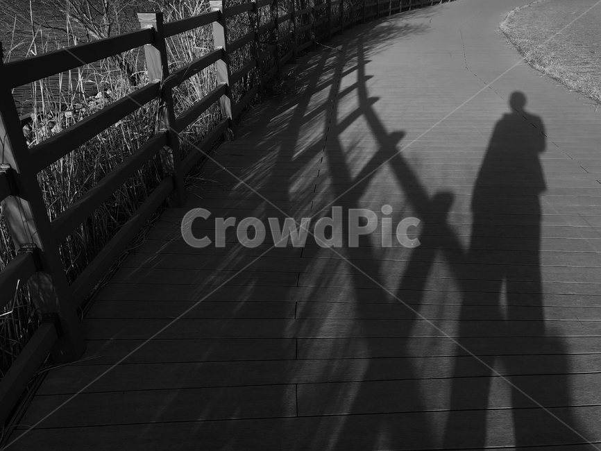nature,outdoors,옥외,feeling,흑백사진,흑백,tree,나뭇가지,공원,하늘,sky,path,통로,railing,walkway,보도,banister,난간,handrail