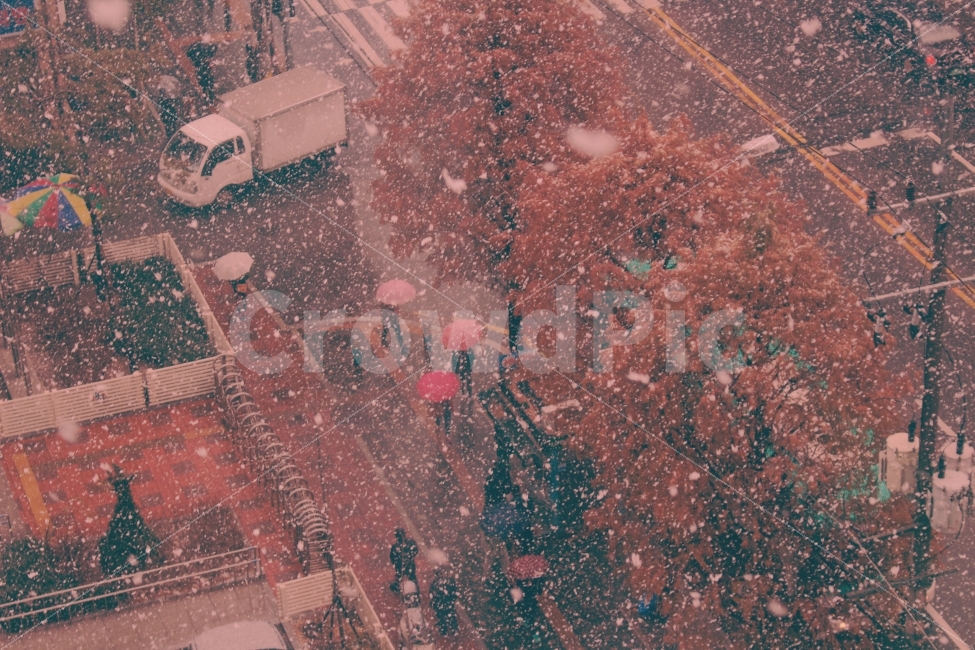 겨울,눈,색감,도시,일상,생활,눈오는날,계절,겨울,계절,winter,season,도시,풍경,city,landscape,한국도시풍경,한국도시경관,korea cityscape,감성,sensible,feeling,nature,자연,outdoors,옥외,경치,scenery